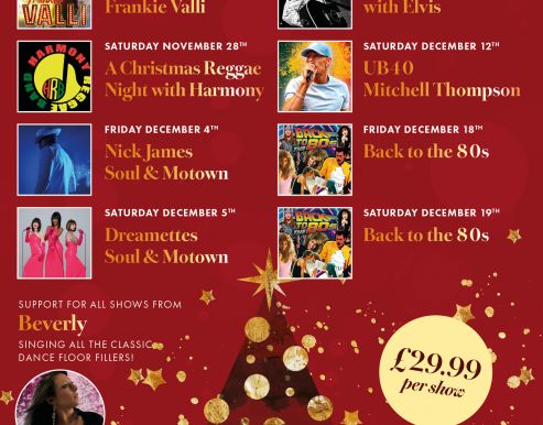 Christmas party nights